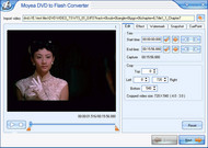 Moyea DVD to Flash Converter screenshot